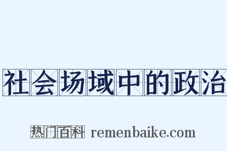 社会场域中的政治是什么意思的图片